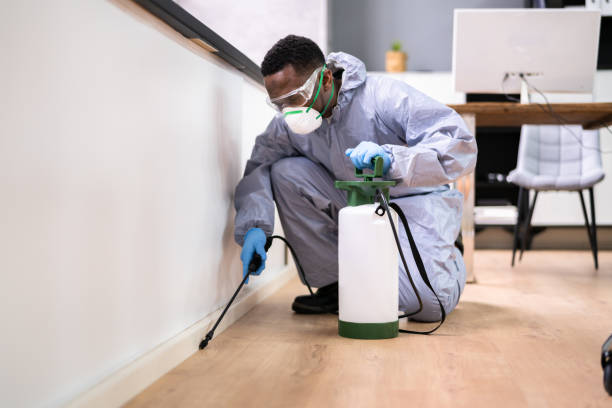 Best Fumigation Services  in Vevay, IN